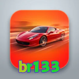 br133